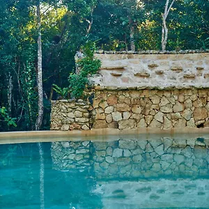 villa-agua-y-fuego.allrivieramayahotels.com/